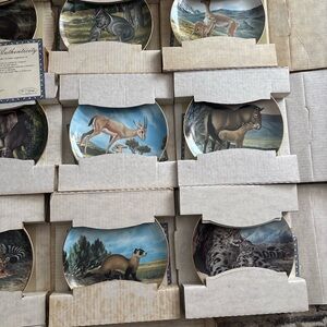 Wildlife Elephant Collector Plate